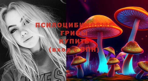 apvp Тихвин